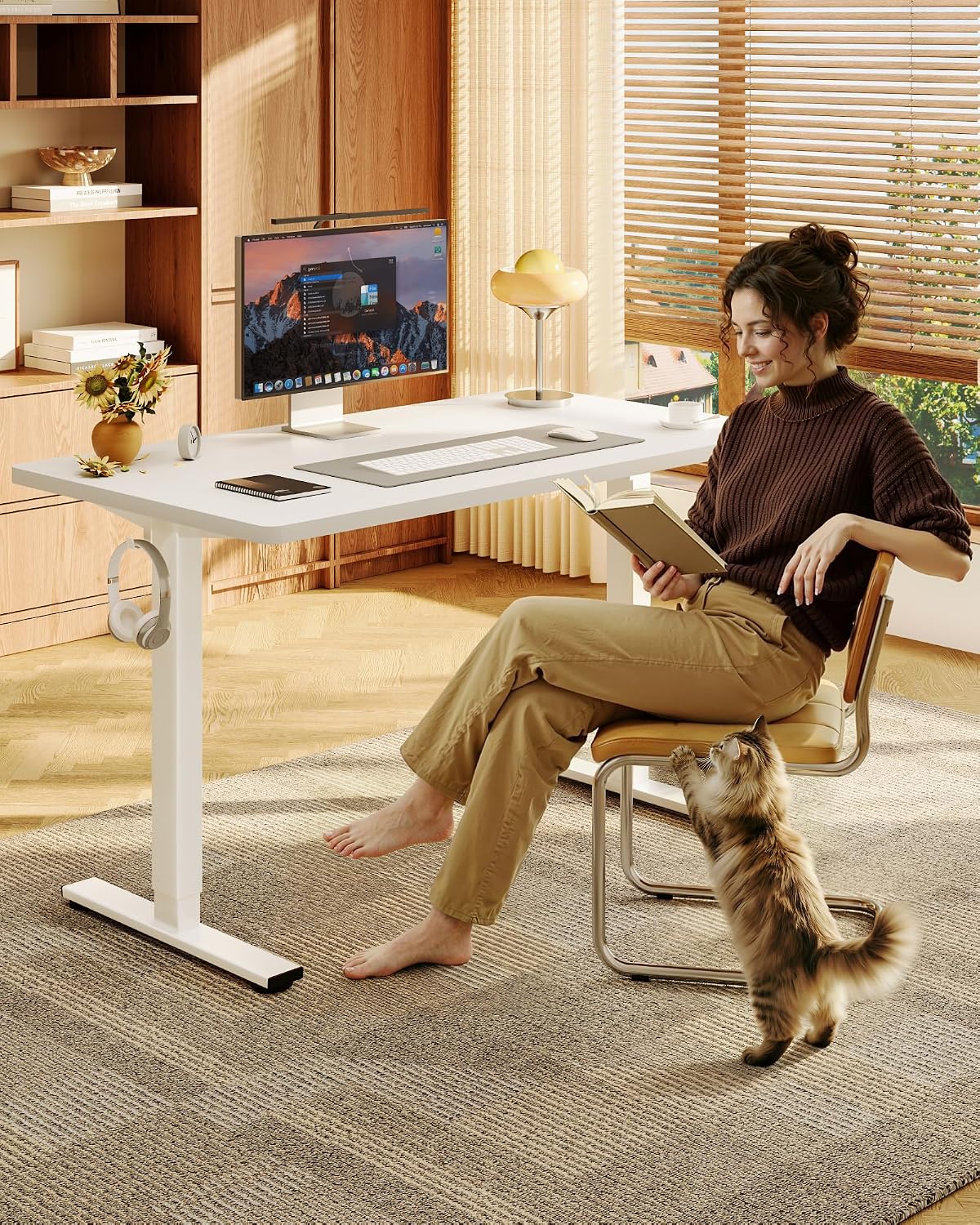 Escritorio Elevable de 48 Pulg - Desk Setup One Monitor reseña y precio